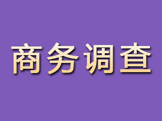 惠阳商务调查